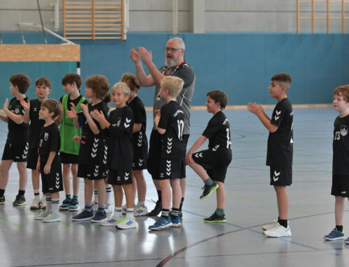 mE2 mit starkem Spiel gegen HSG Hofgeismar-Grebenstein II