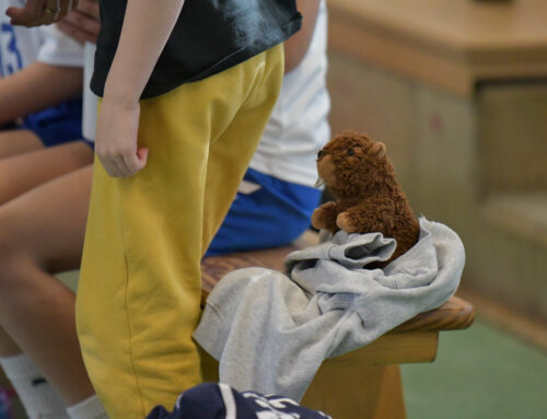 wE gewinnt in HSG Fuldatal/Wolfsanger